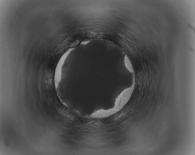 X0000091241154200709061534