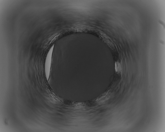 X0000091241155200709061534