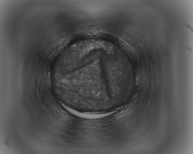X0000091241156200709061534