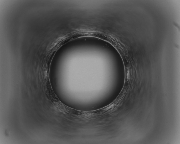 X0000091241157200709061534