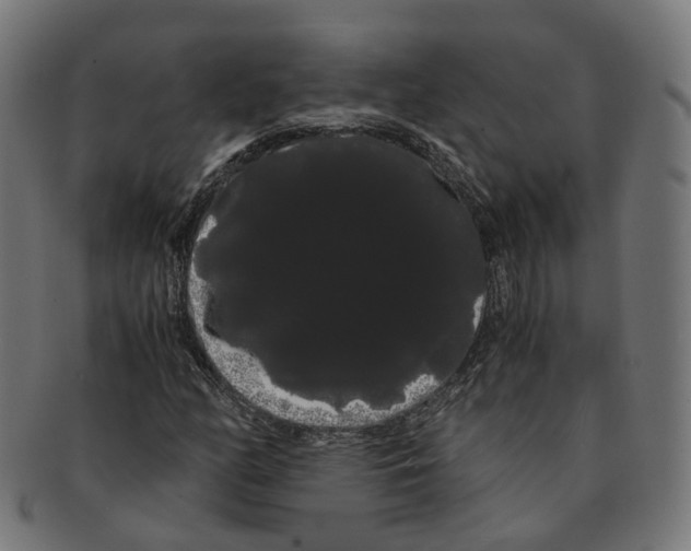 X0000091241158200709061534