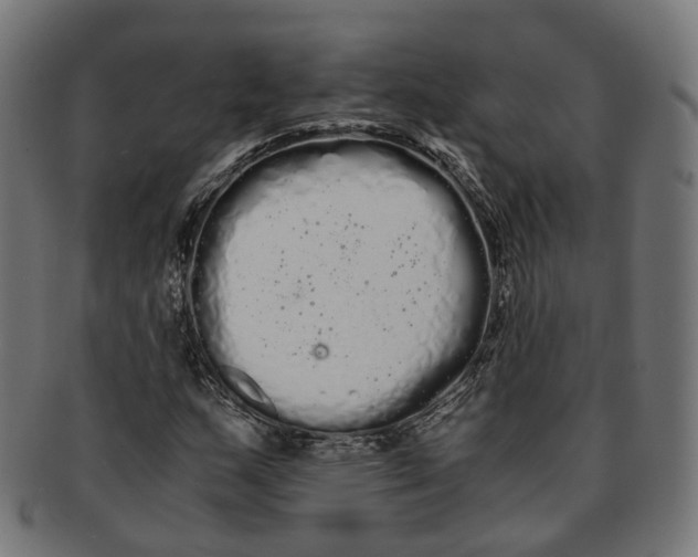 X0000091241159200709061534