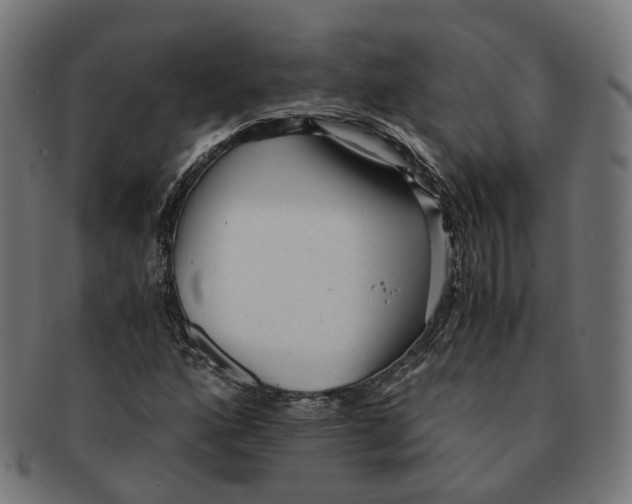 X0000091241160200709061534