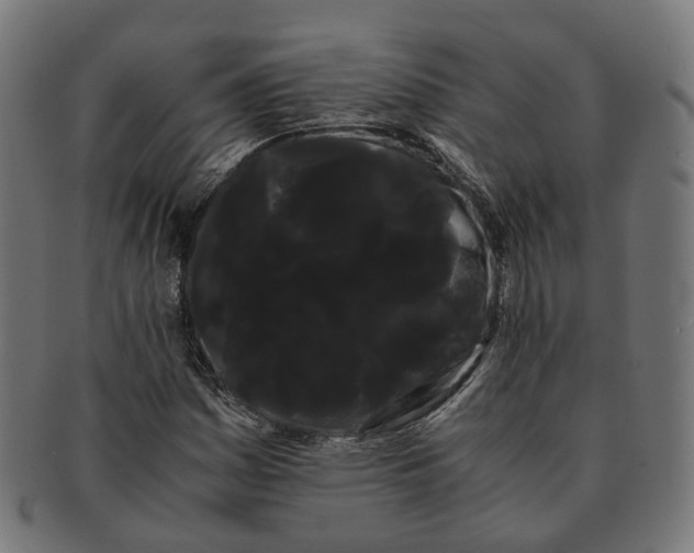 X0000091241161200709061534