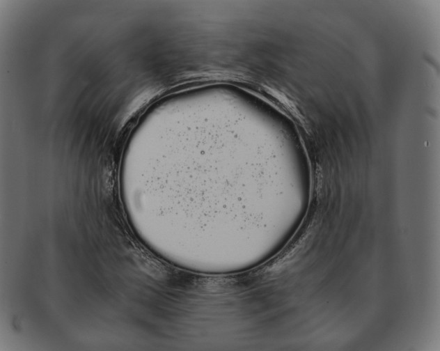 X0000091241163200709061534