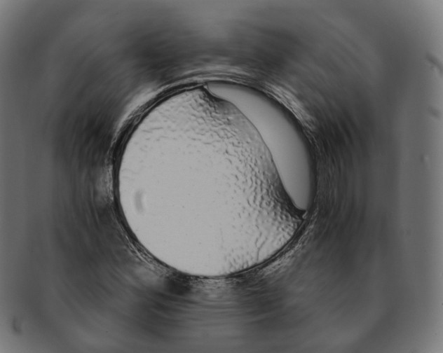 X0000091241164200709061534