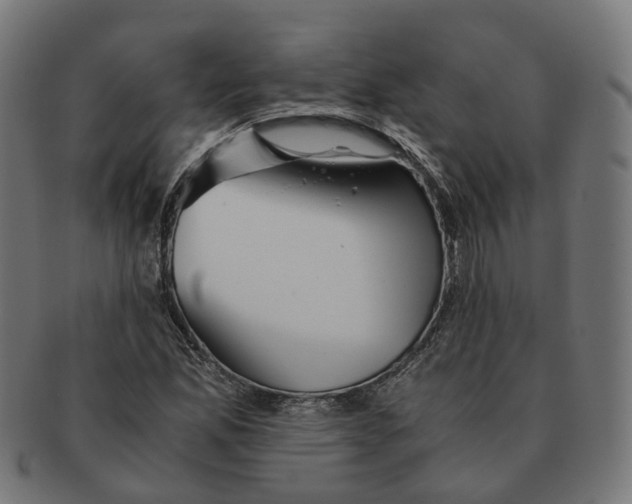 X0000091241165200709061534