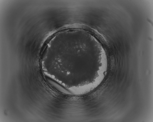X0000091241166200709061534