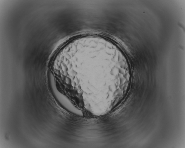 X0000091241168200709061533
