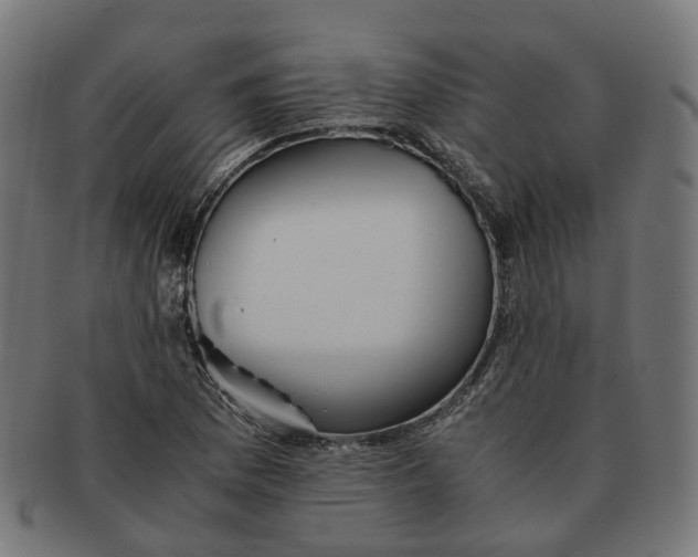 X0000091241169200709061533