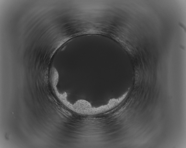 X0000091241170200709061533