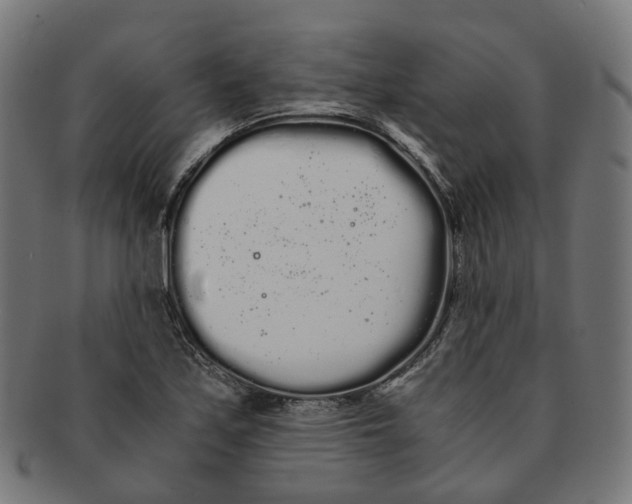 X0000091241171200709061533