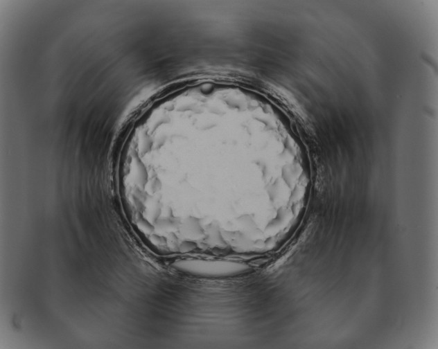 X0000091241172200709061533