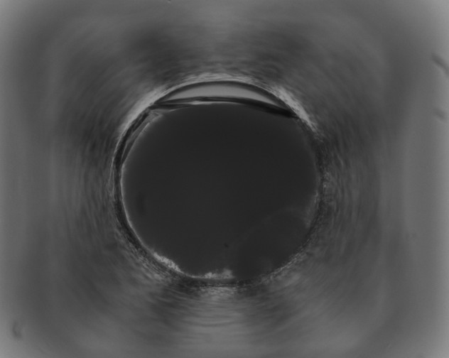 X0000091241173200709061533