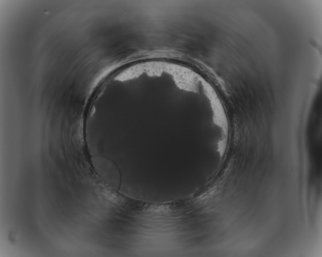 X0000091241174200709061533
