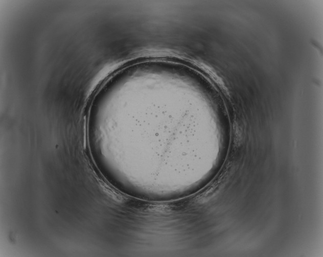 X0000091241175200709061533
