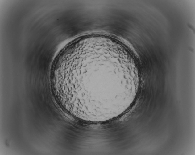 X0000091241176200709061533
