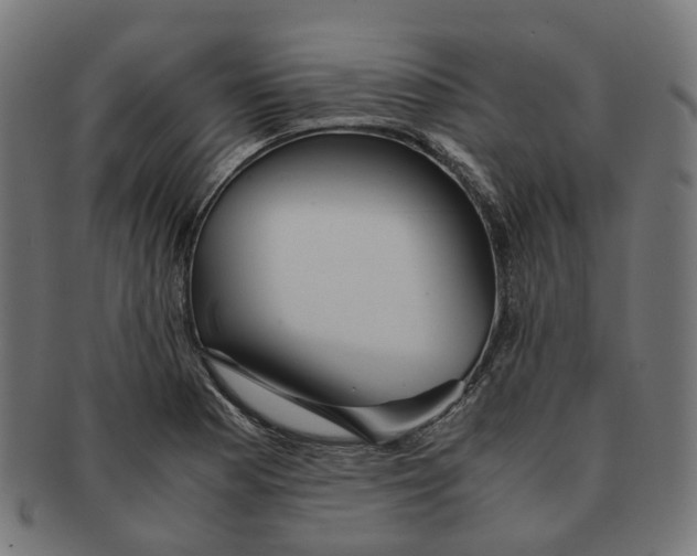 X0000091241177200709061533