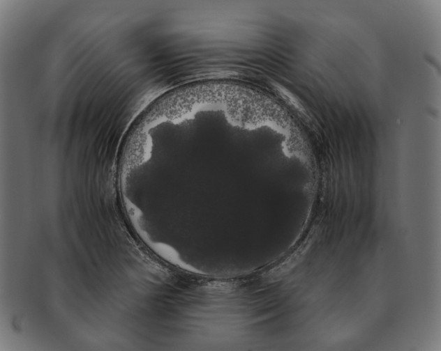 X0000091241178200709061533
