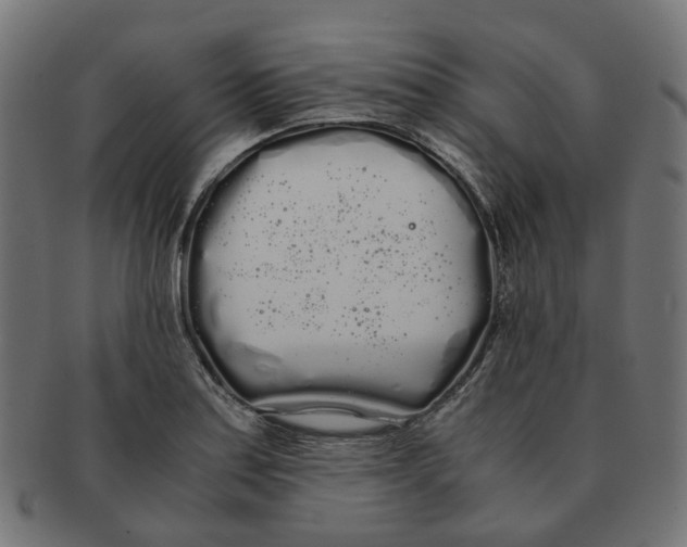 X0000091241179200709061533