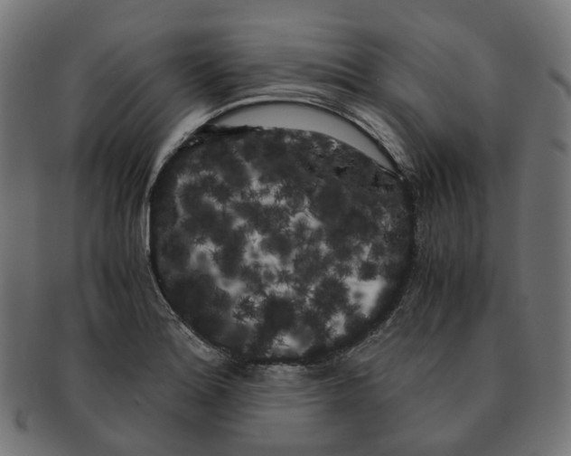X0000091241180200709061533