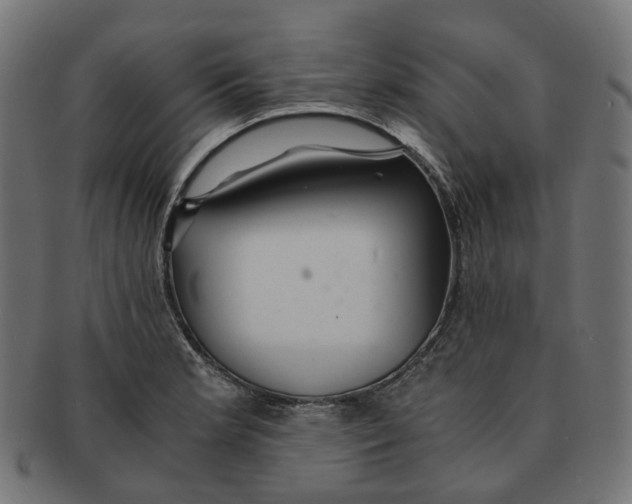 X0000091241181200709061533