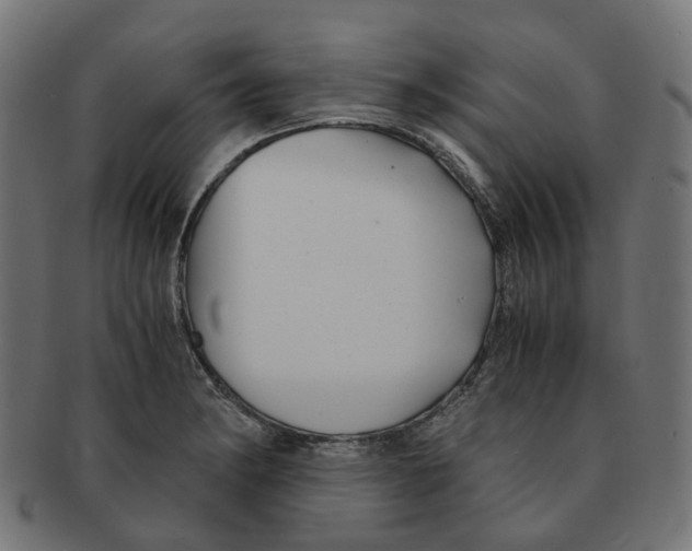 X0000091241182200709061533