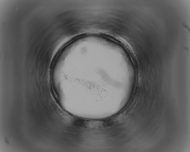 X0000091241183200709061533