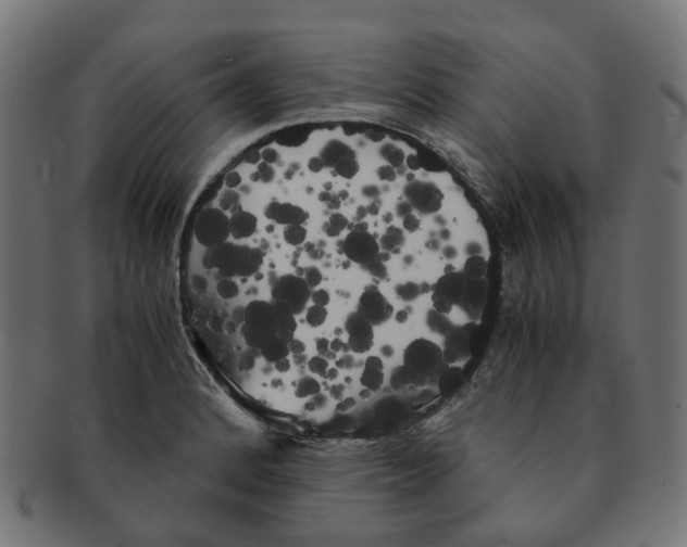X0000091241184200709061533