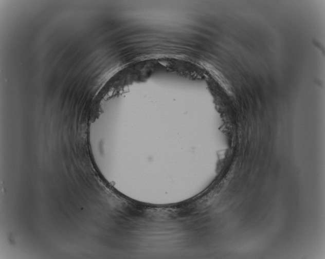 X0000091241185200709061533
