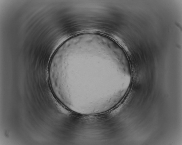 X0000091241186200709061533