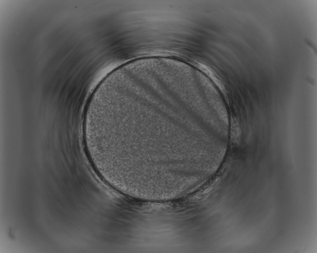 X0000091241187200709061533