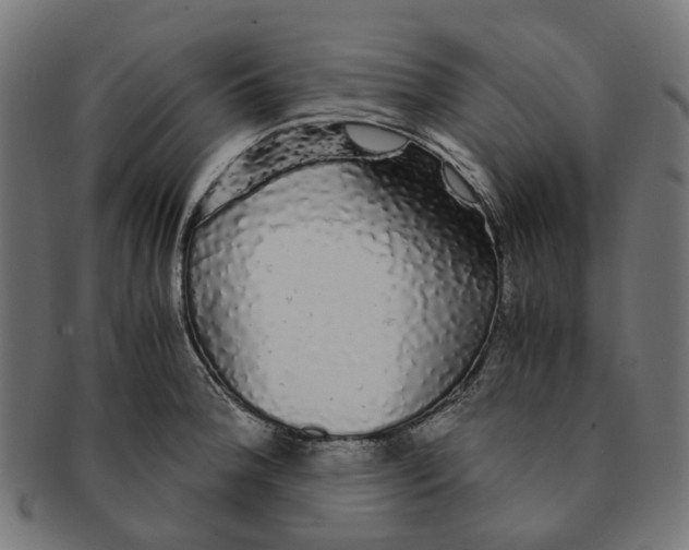 X0000091241188200709061533