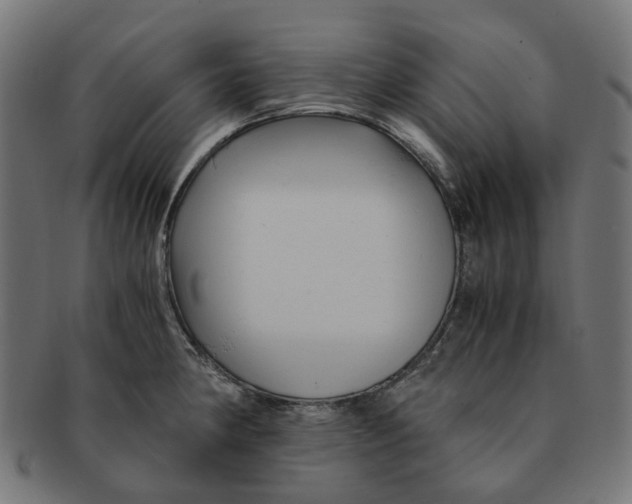 X0000091241190200709061533