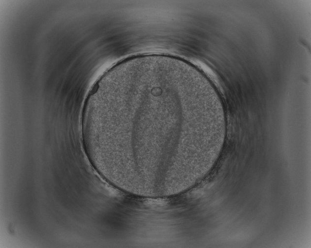 X0000091241191200709061533