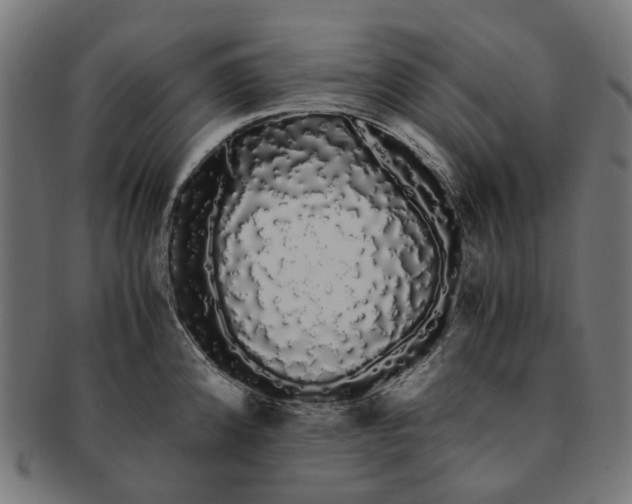 X0000091241192200709061533