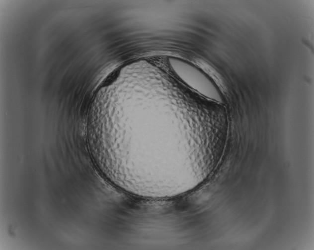 X0000091241193200709061533