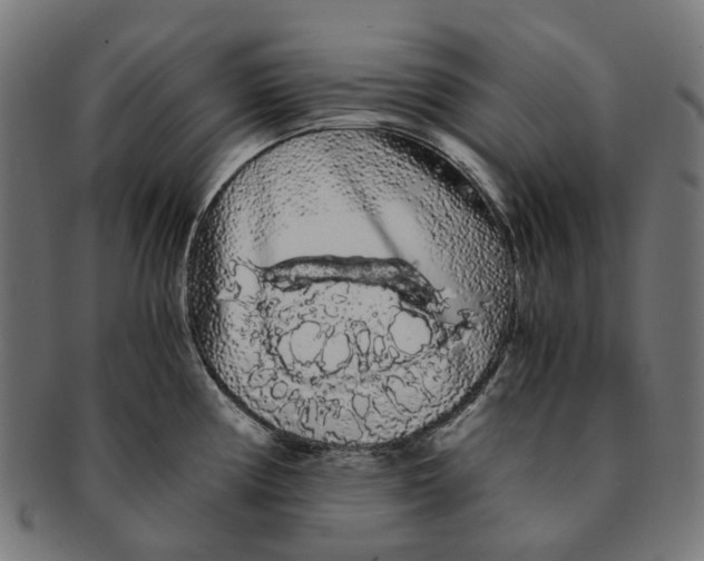 X0000091241194200709061533