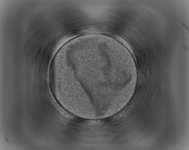 X0000091241195200709061533