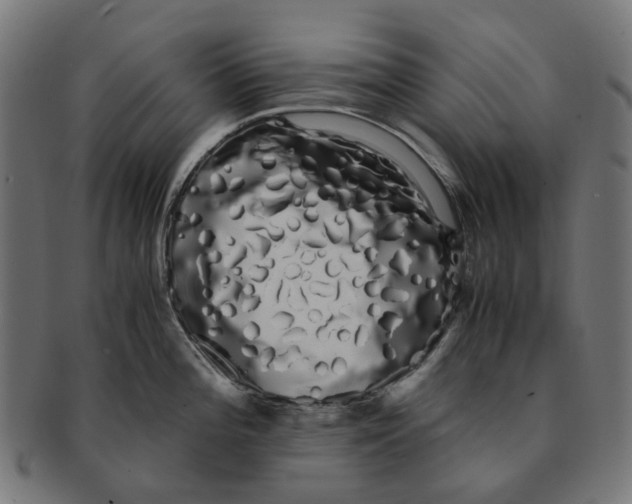 X0000091241196200709061533