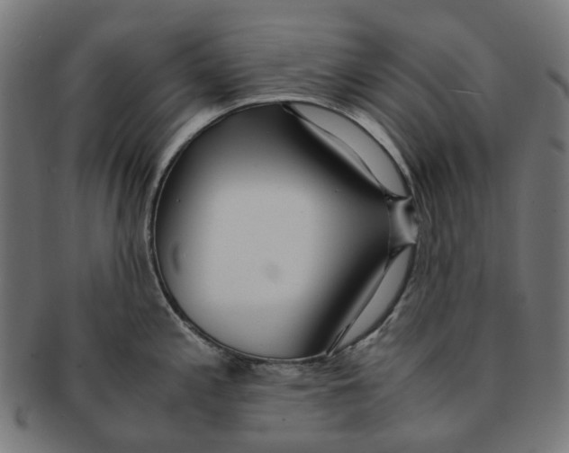 X0000091241197200709061533