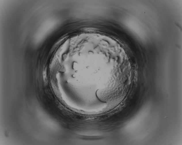 X0000091241198200709061533
