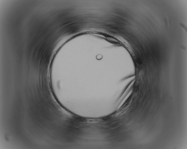 X0000091241199200709061533