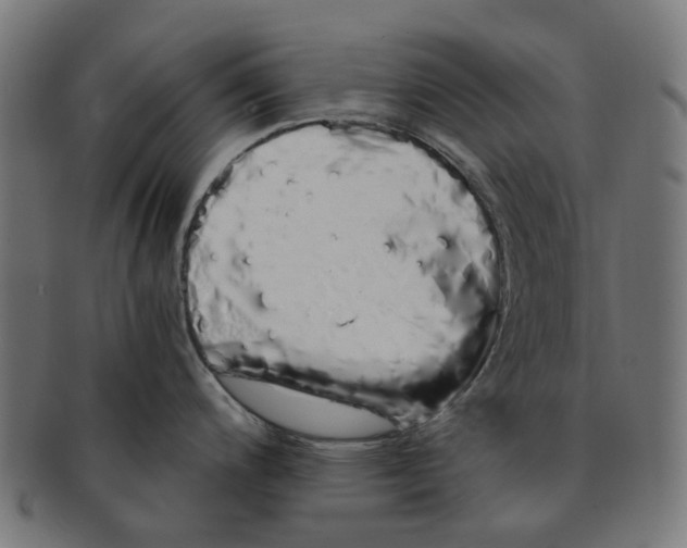 X0000091241200200709061533