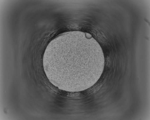 X0000091241201200709061532