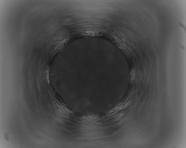 X0000091241202200709061532