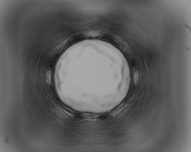 X0000091241204200709061532