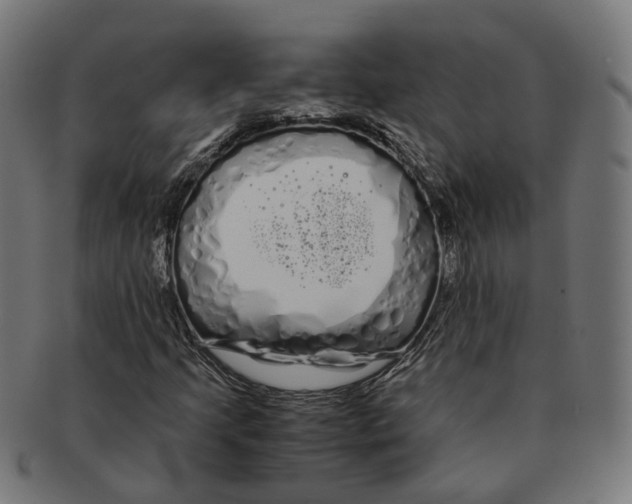 X0000091241205200709061532