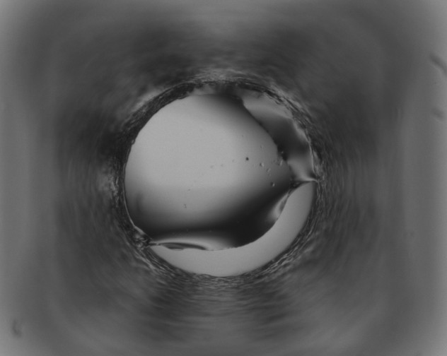 X0000091241206200709061532