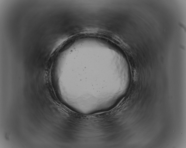 X0000091241208200709061532